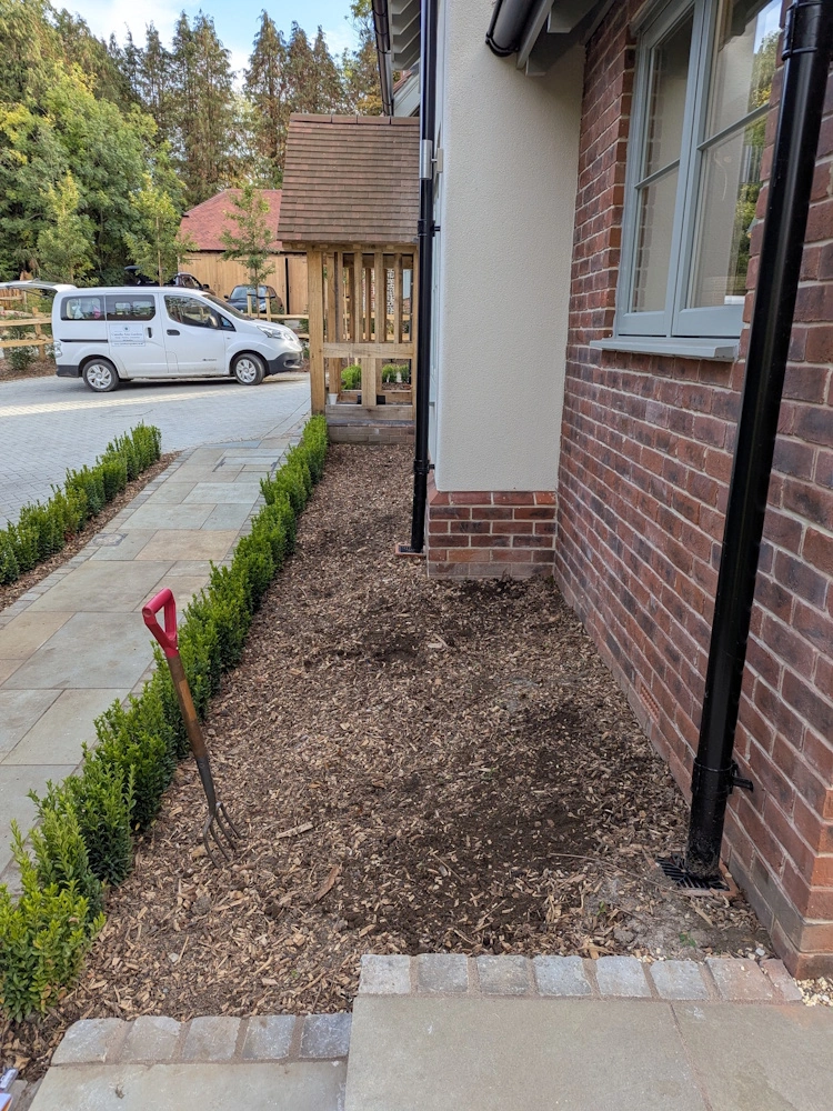 Newly created raised bed beneath an established willow tree