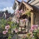 A cottage garden softening a new-build home