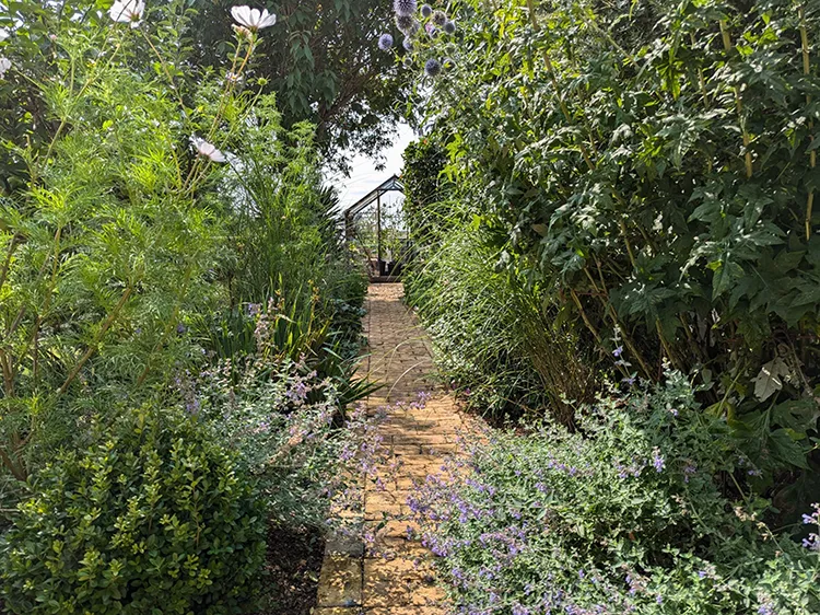 Finished path well-established plants either side