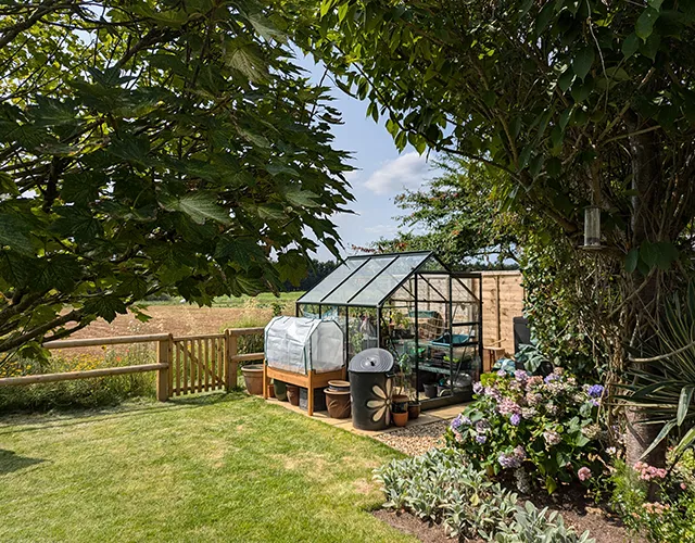 Picture of garden and greenhouse