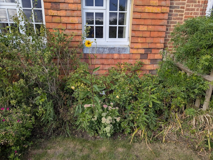 Wraparound country garden on the edge of Farnham with views across open fields