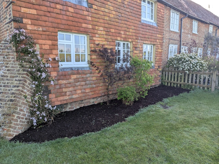 Cleared borders after tired shrubs and invasive perennials were removed