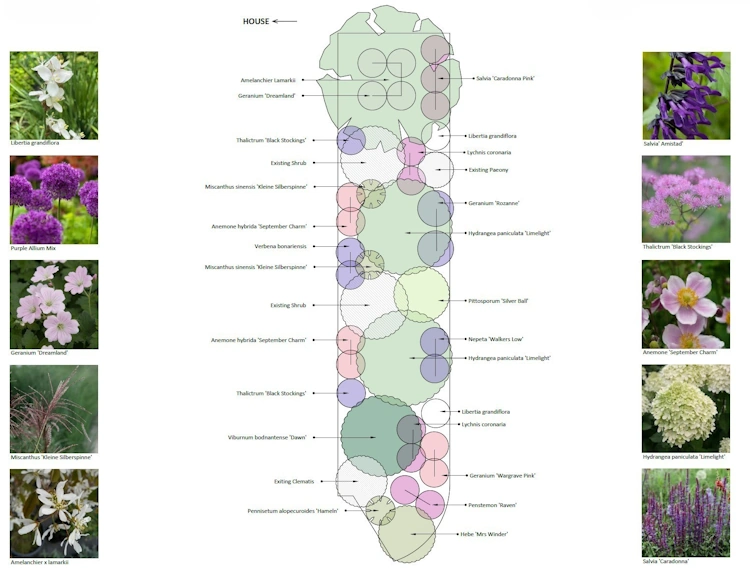 Soft palette of pinks, purples and whites in the borders beside the house