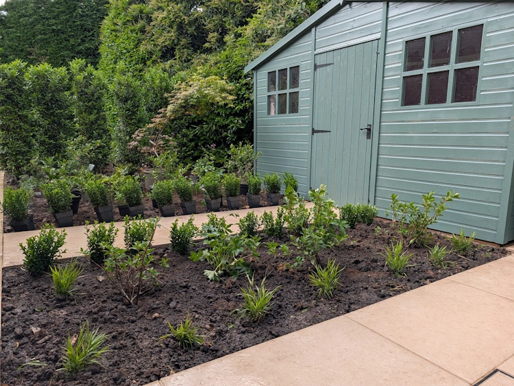 Soft green shade planting creating a quiet retreat away from the lawn