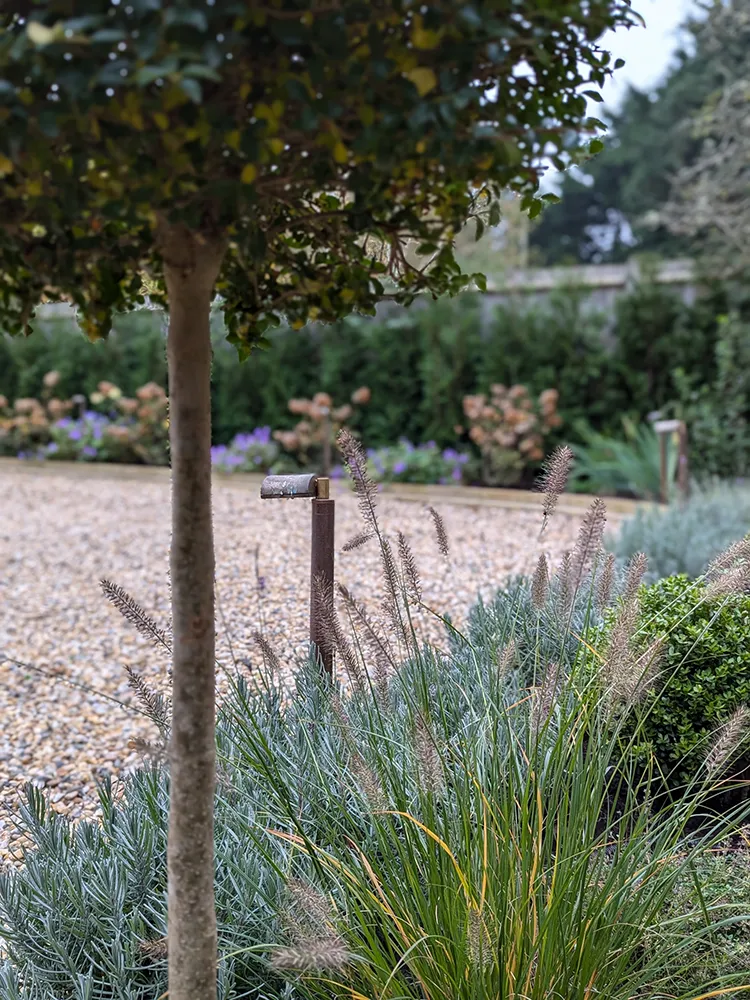 From within the flower bed looking out through new planting onto the driveway
