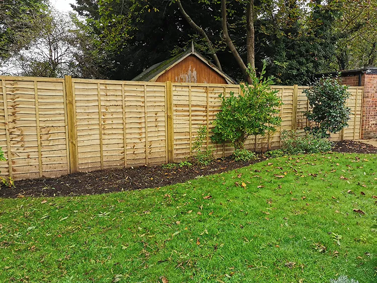 Newly planted bushes early in the project