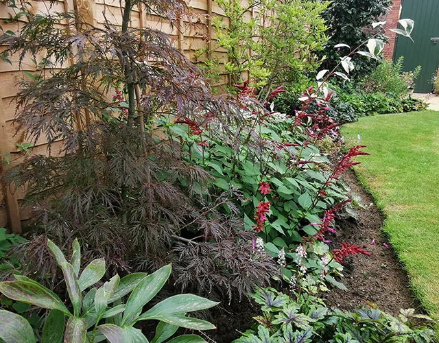 Smaller garden with planting around the edge