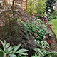 A planted-up shady garden