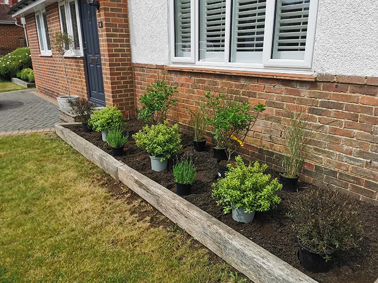 Freshly planted beds, next to the house