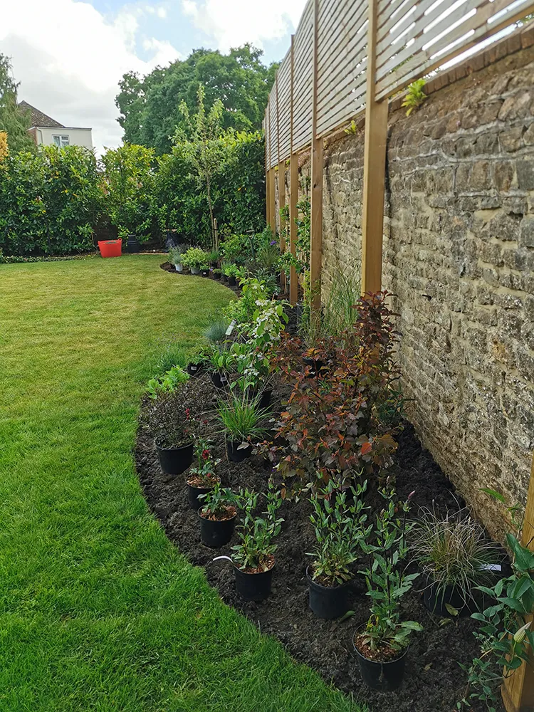 Freshly planted flower beds