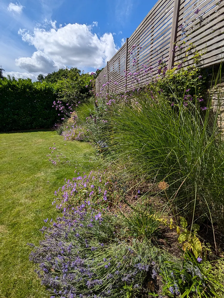 Established beds next to a wall with grasses