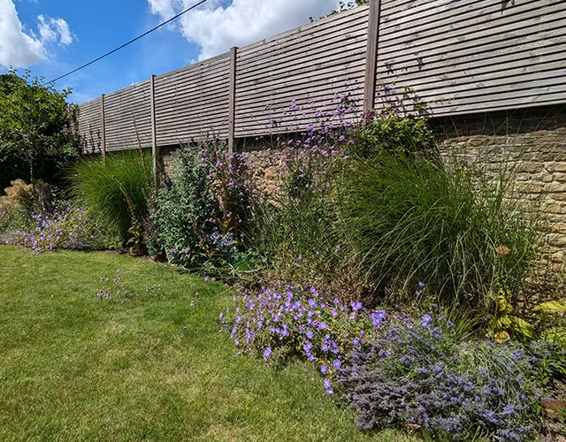 Walled garden in Milford