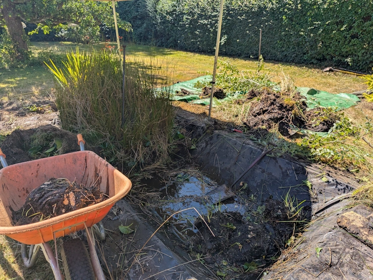 Pond construction showing the varied shelf depths for different plant types