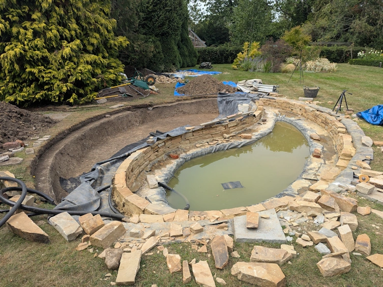 Detail of the integrated bog garden planting area