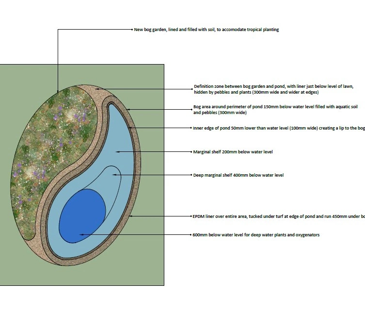 Technical diagram illustrating the pond and bog garden integration