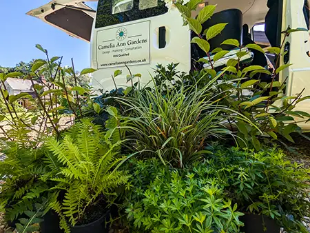 Van with new plants next to it